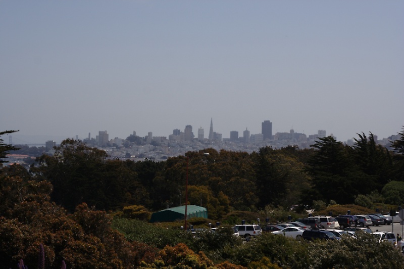 San Francisco Skyline