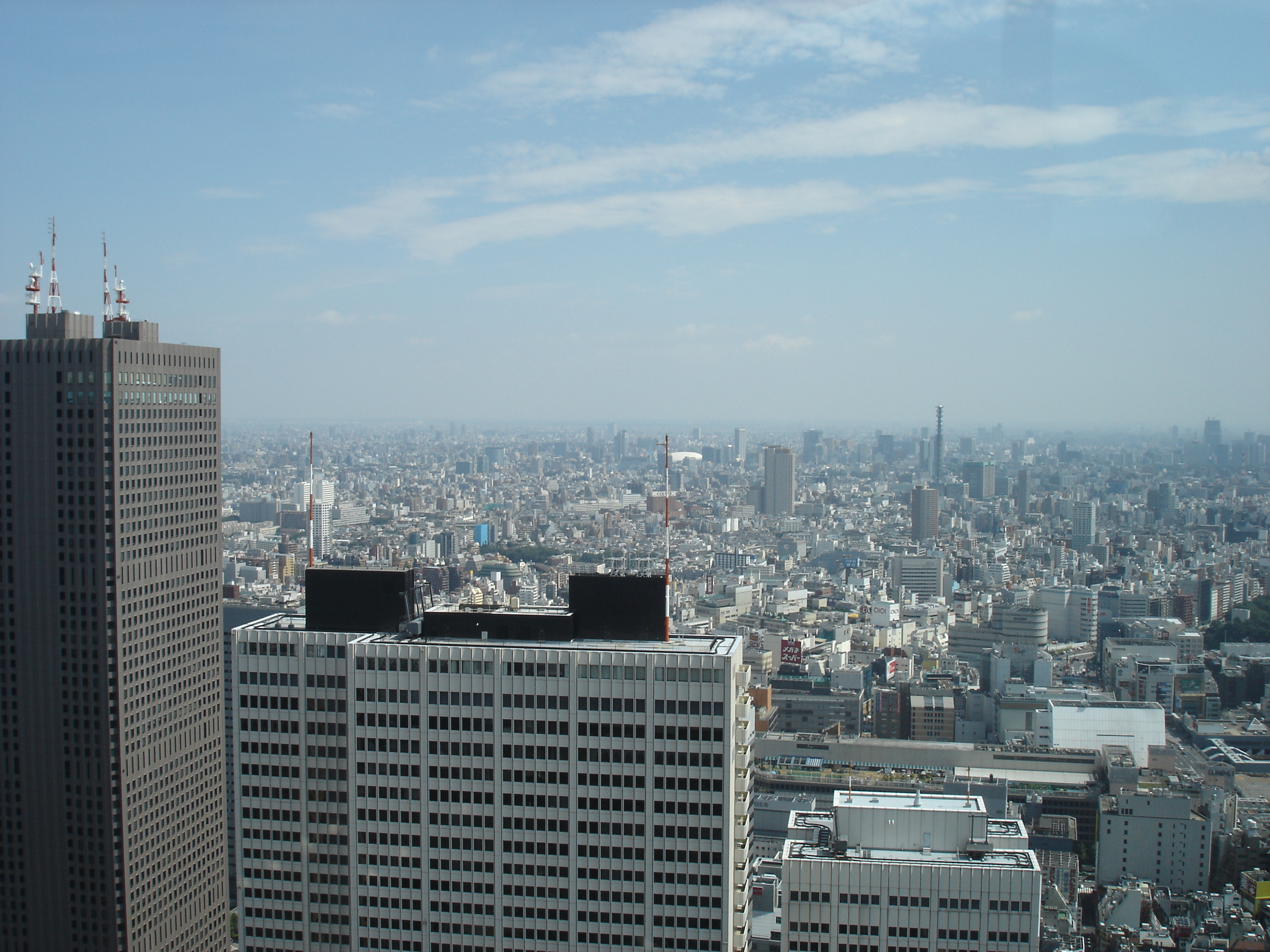 View over Tokyo