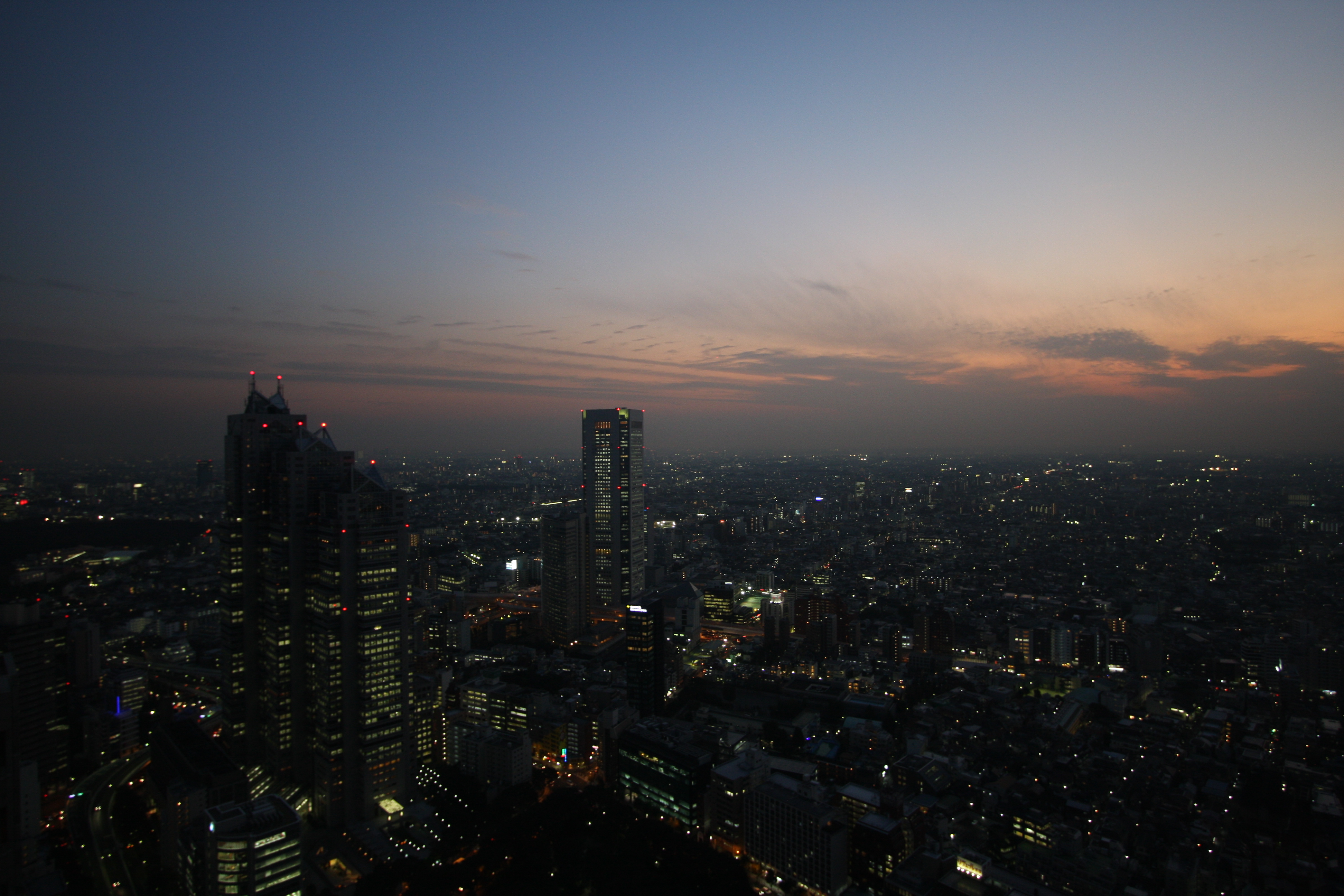 View over Tokyo