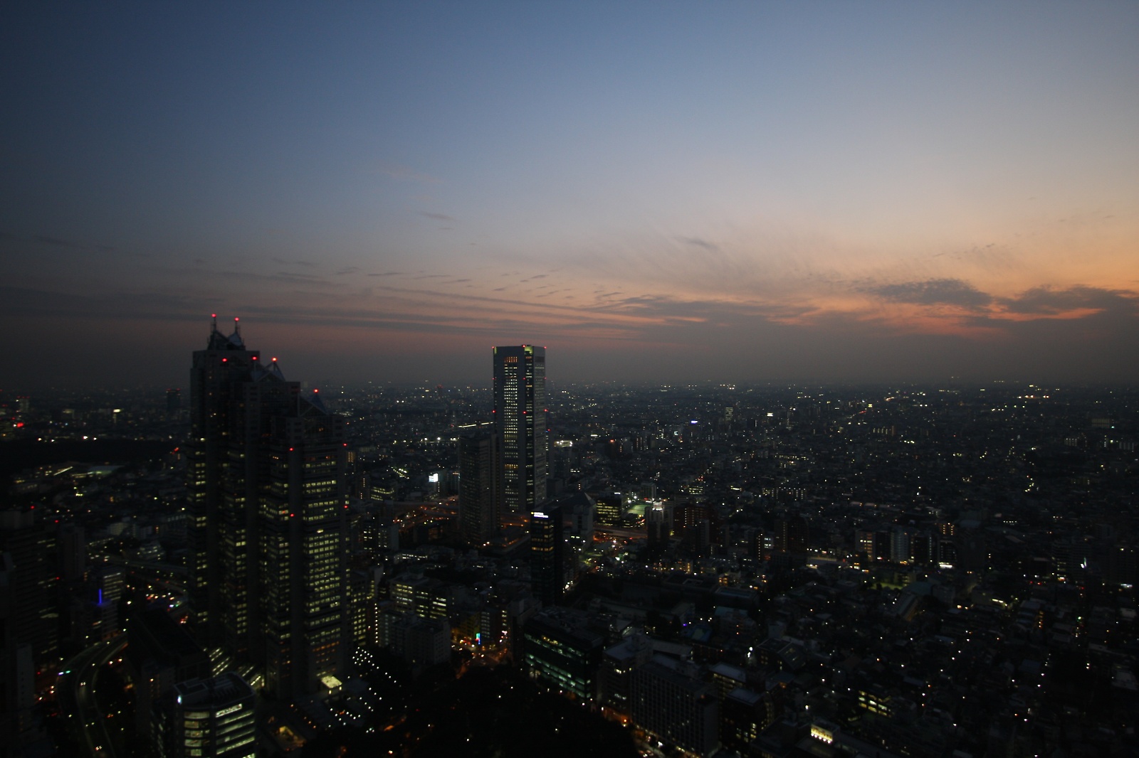 View over Tokyo