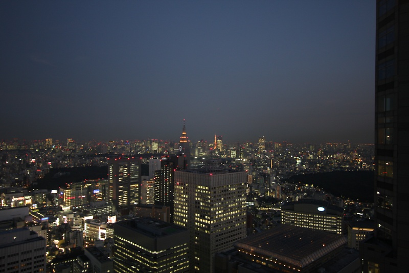 View over Tokyo