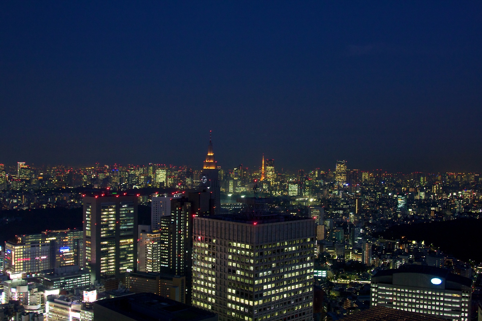 View over Tokyo