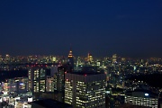 View over Tokyo