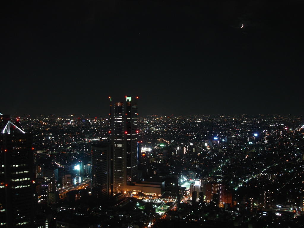 Night view over Tokyo