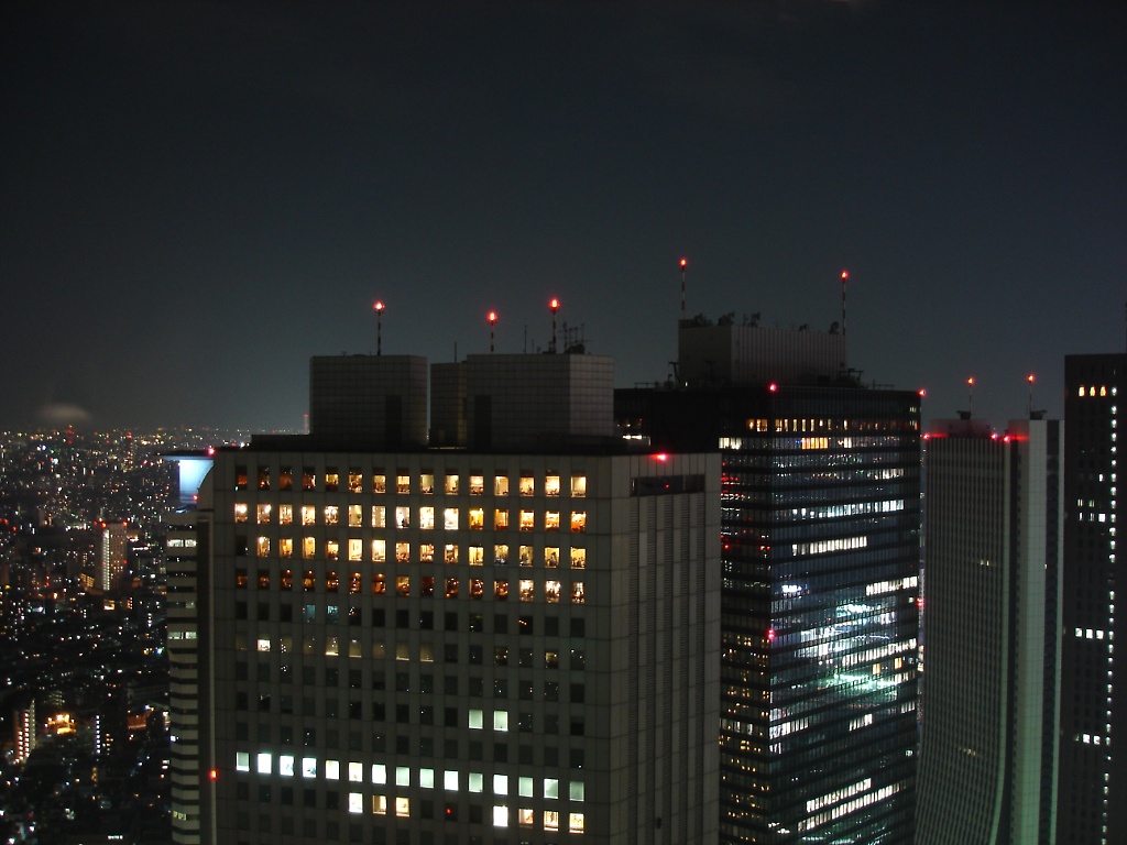 Night view over Tokyo