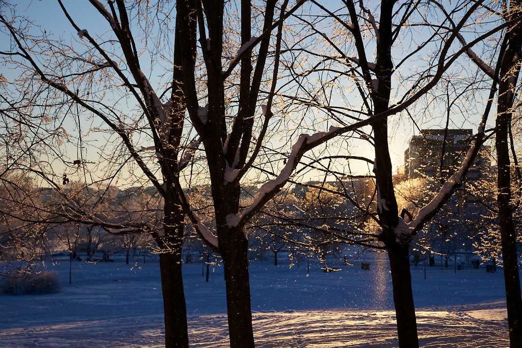 Tanto in the Winter