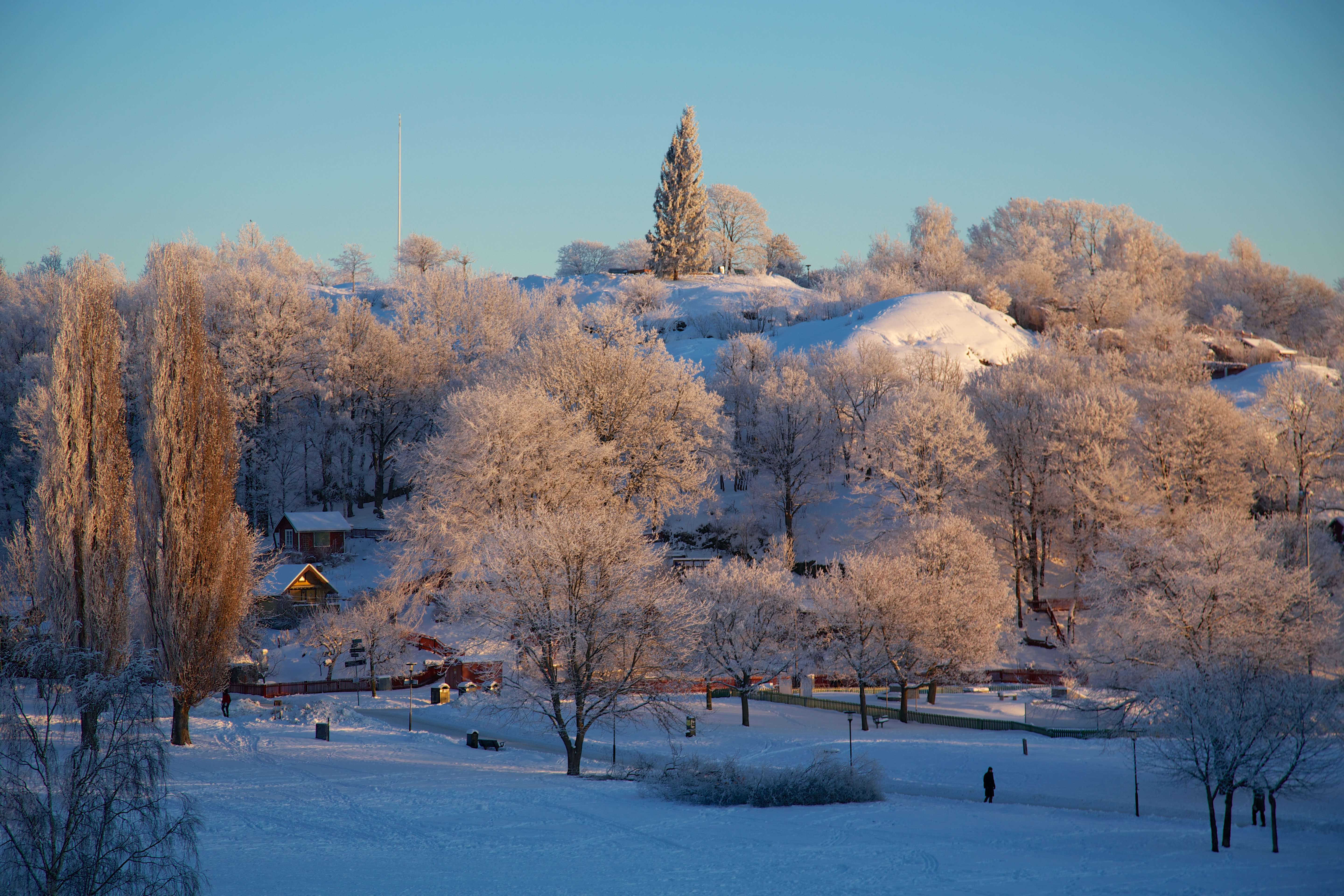 Tanto in the Winter