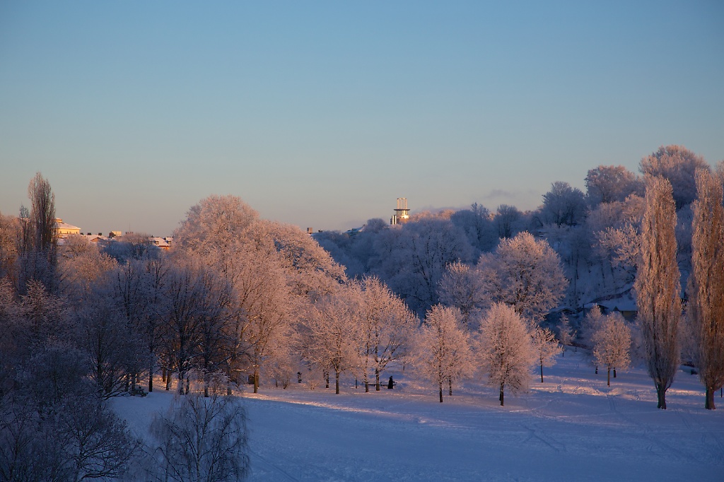 Tanto in the Winter