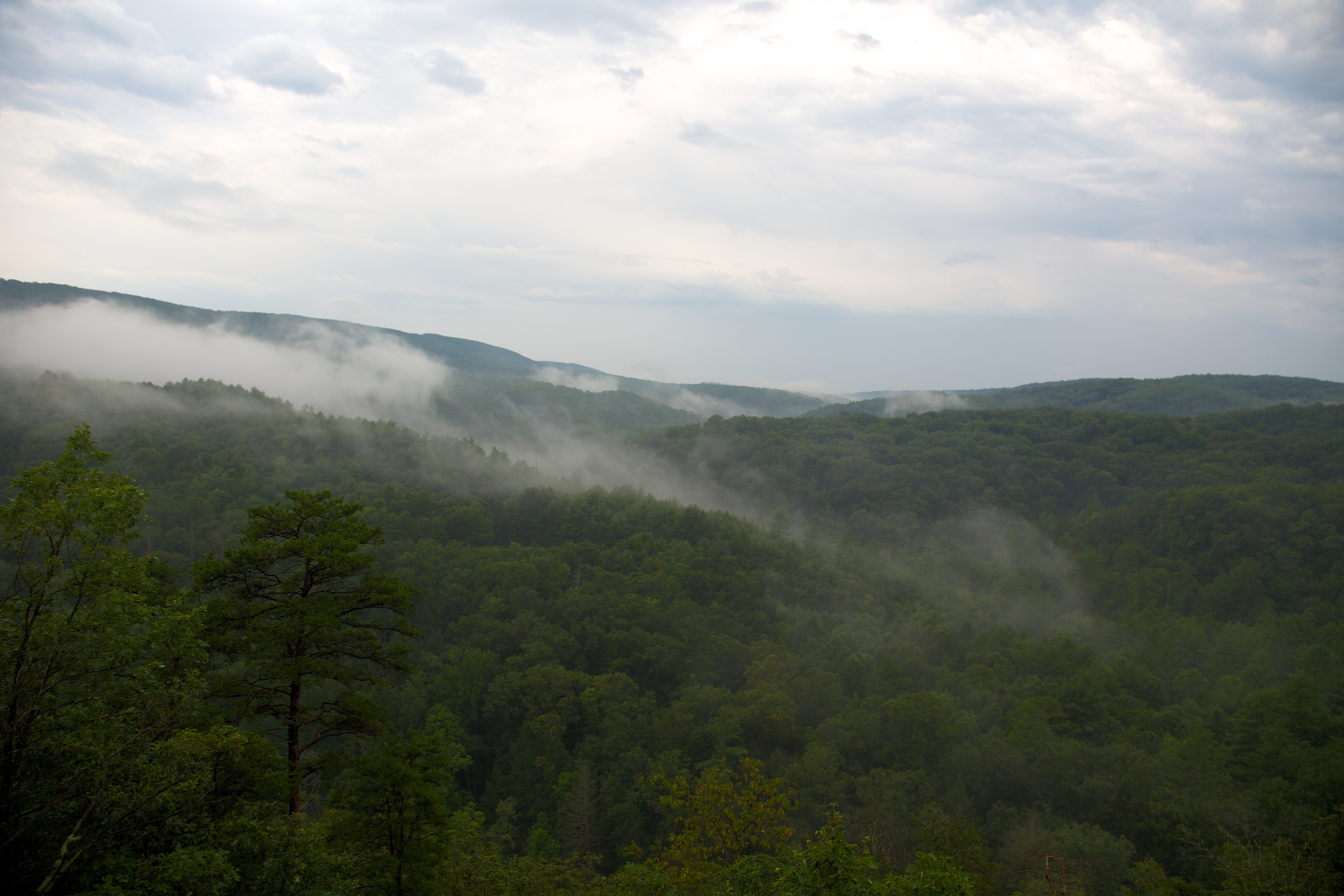 Green Ridge State Forest