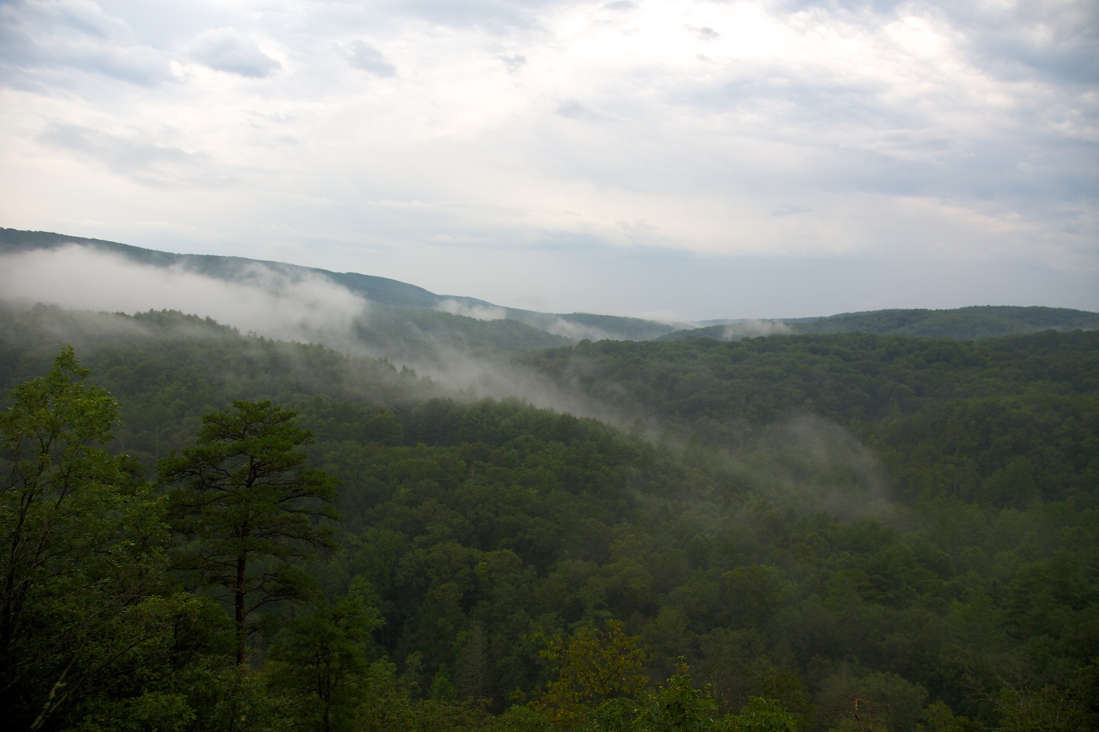 Green Ridge State Forest