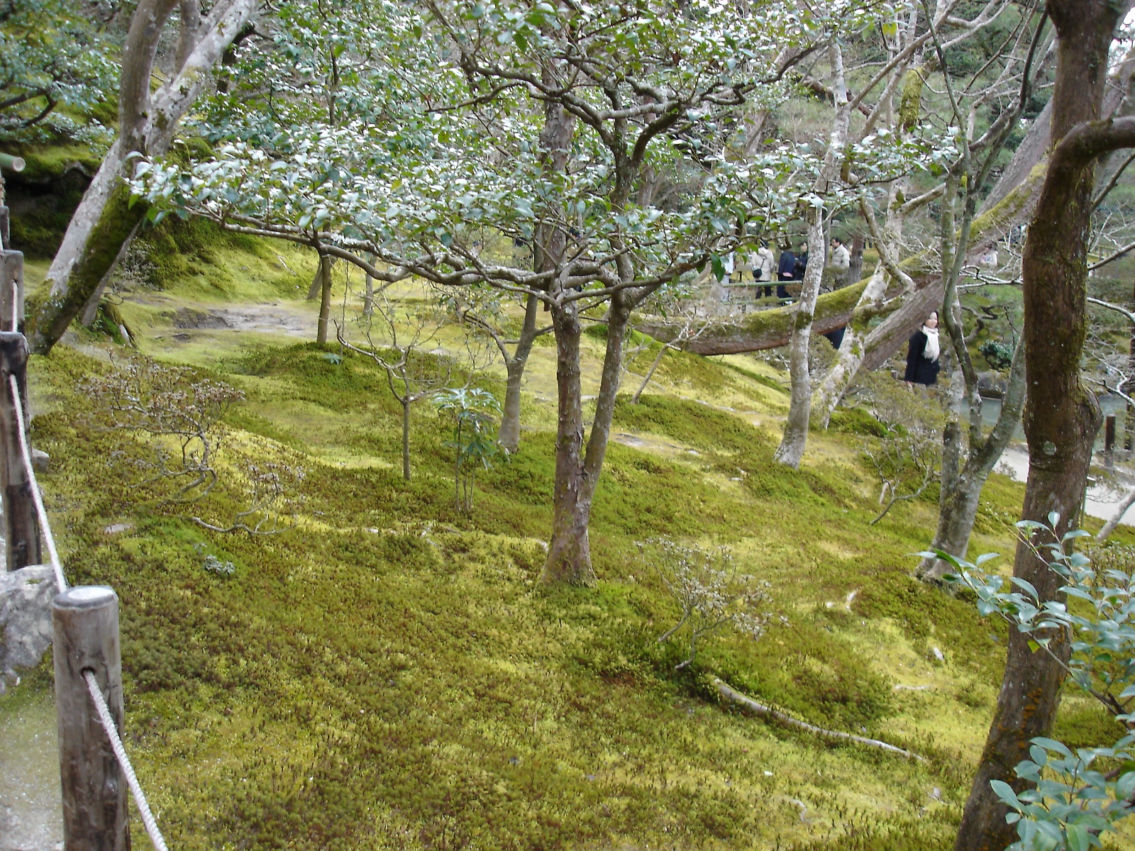 Ginkakuji