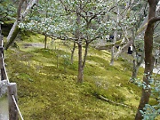 Ginkakuji