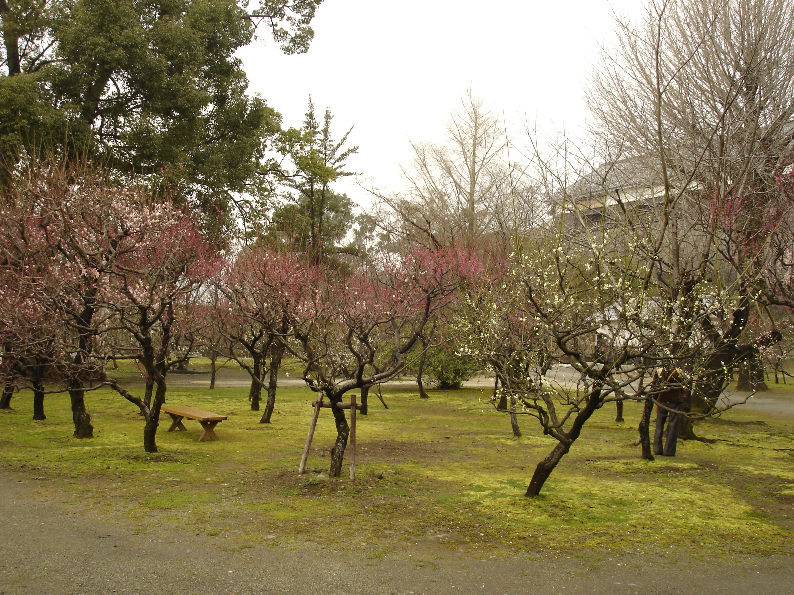 Kumamoto Castle