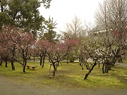 Kumamoto Castle