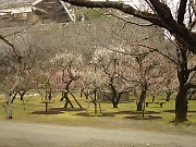 Kumamoto Castle