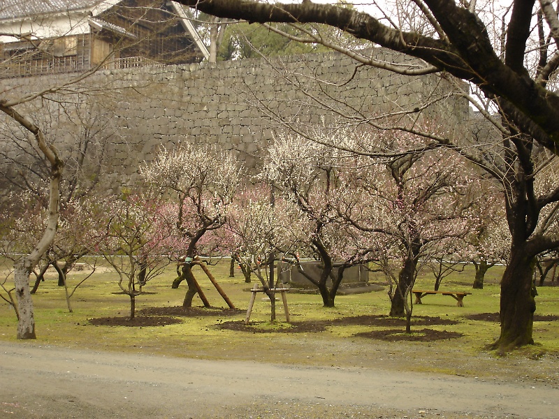 Kumamoto Castle