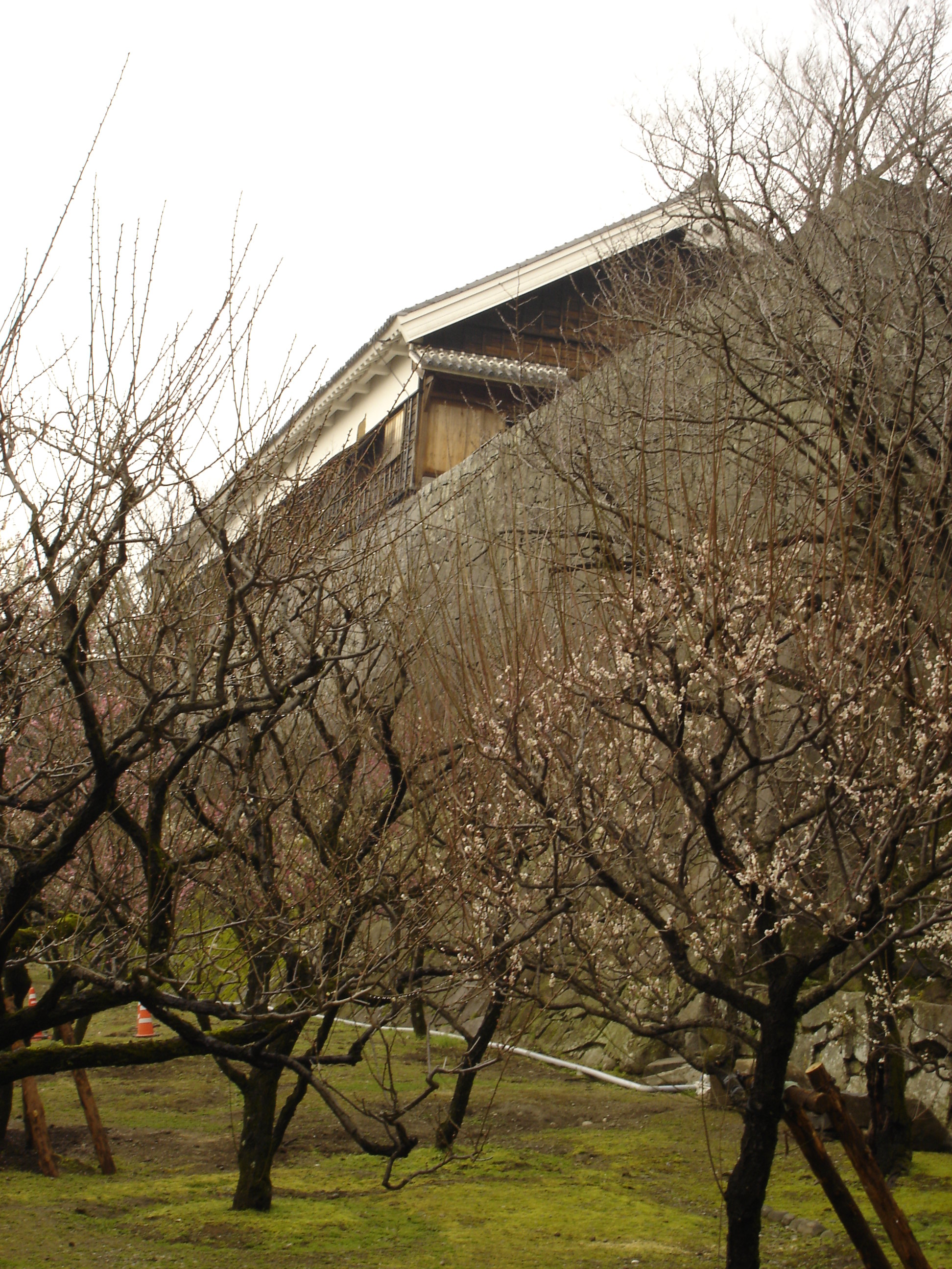 Kumamoto Castle