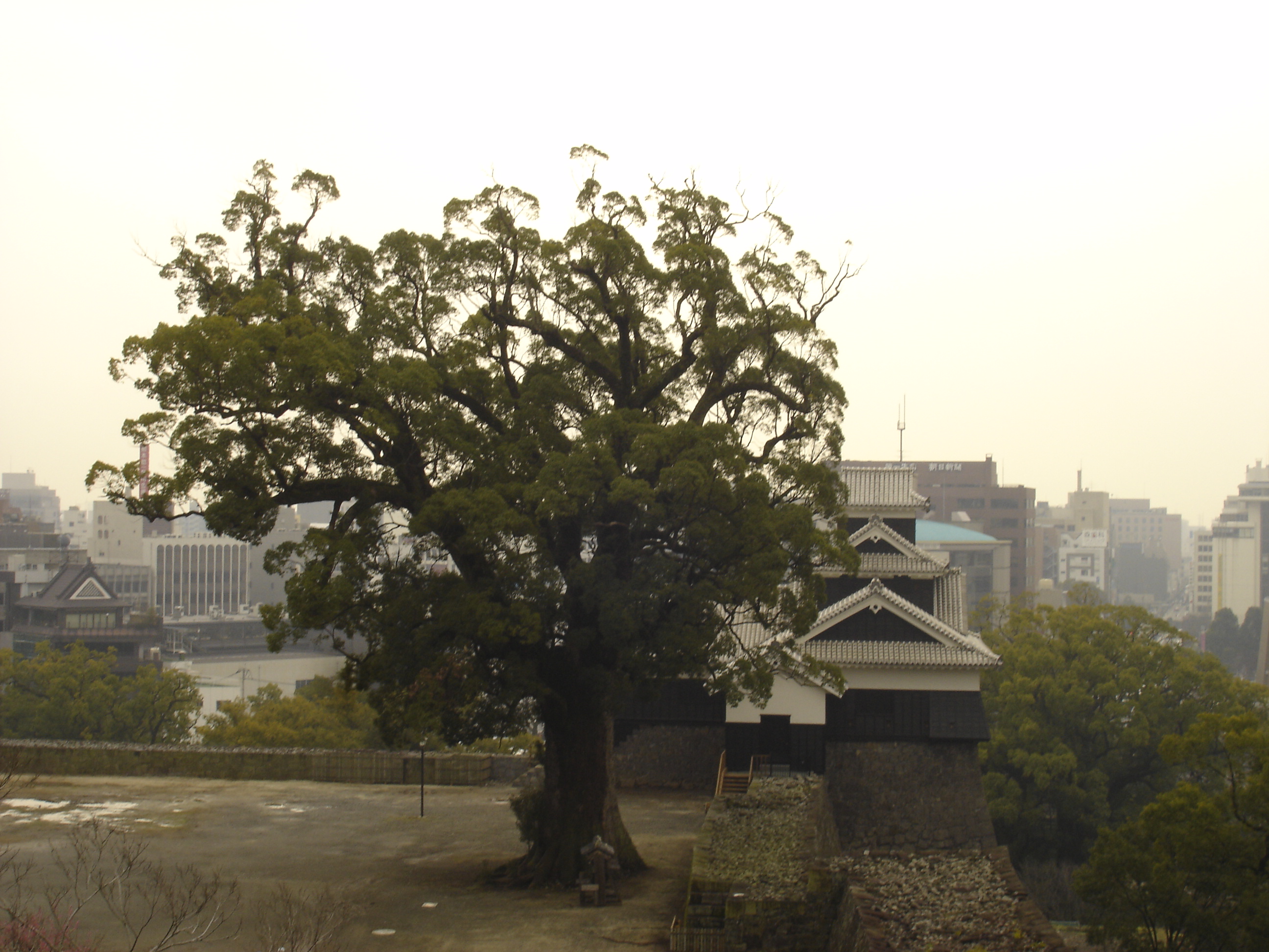 Kumamoto Castle