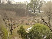 Kumamoto Castle
