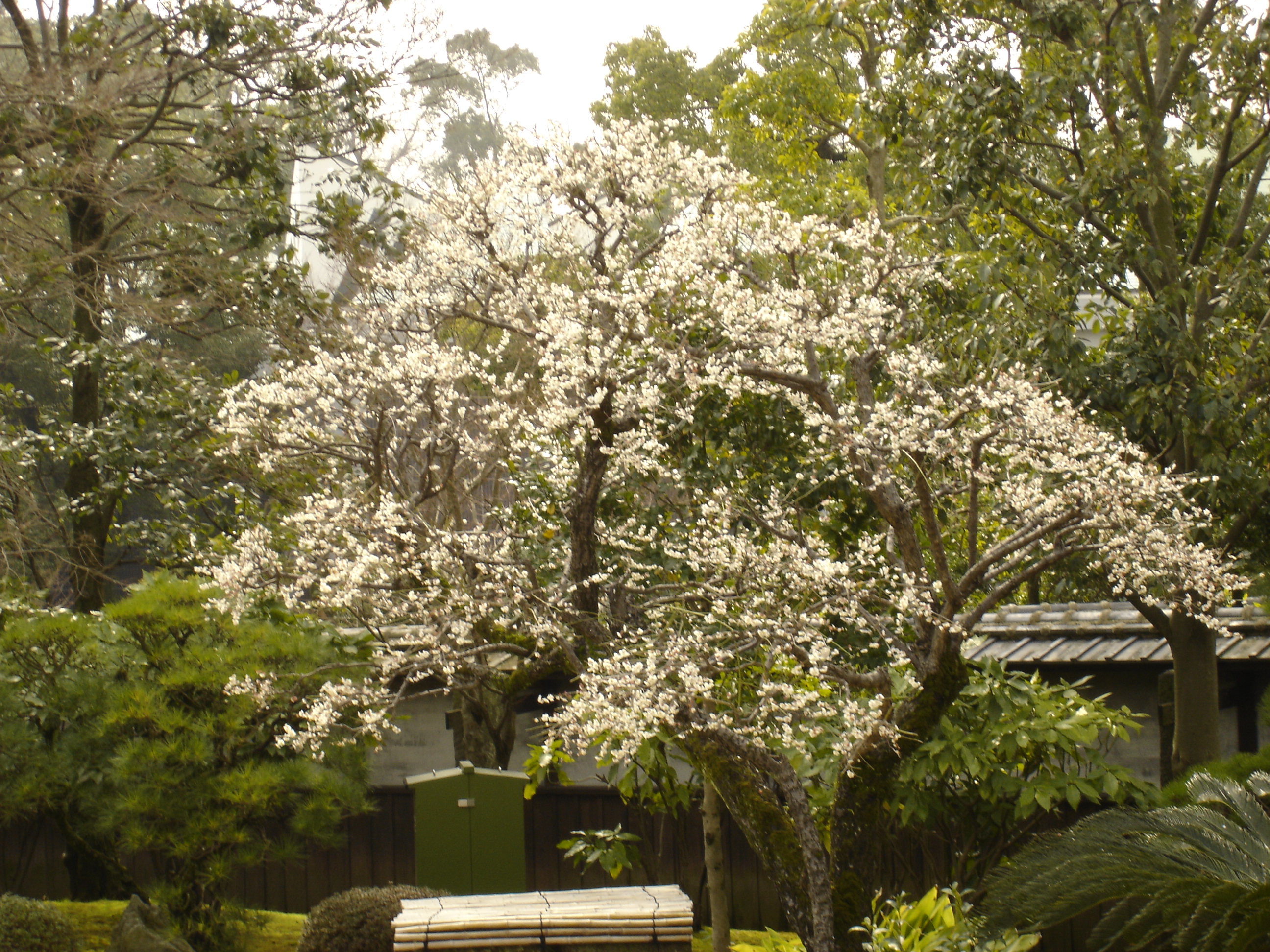 Hosokawa Gyobutei