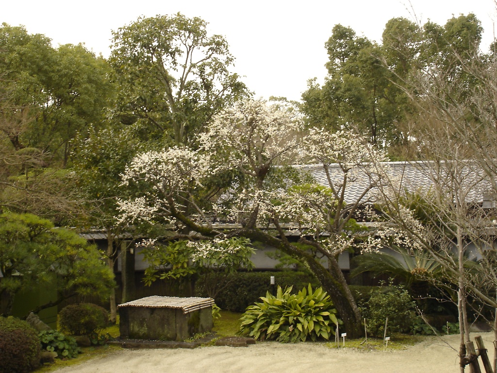 Hosokawa Gyobutei