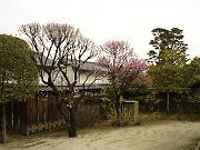 Hosokawa Gyobutei