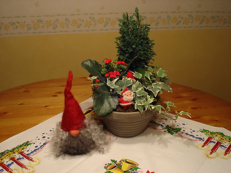 Tomte