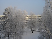 Snowy in Skogås