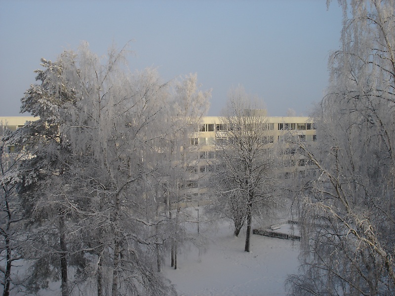 Snowy in Skogås