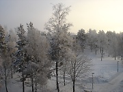 Snowy in Skogås