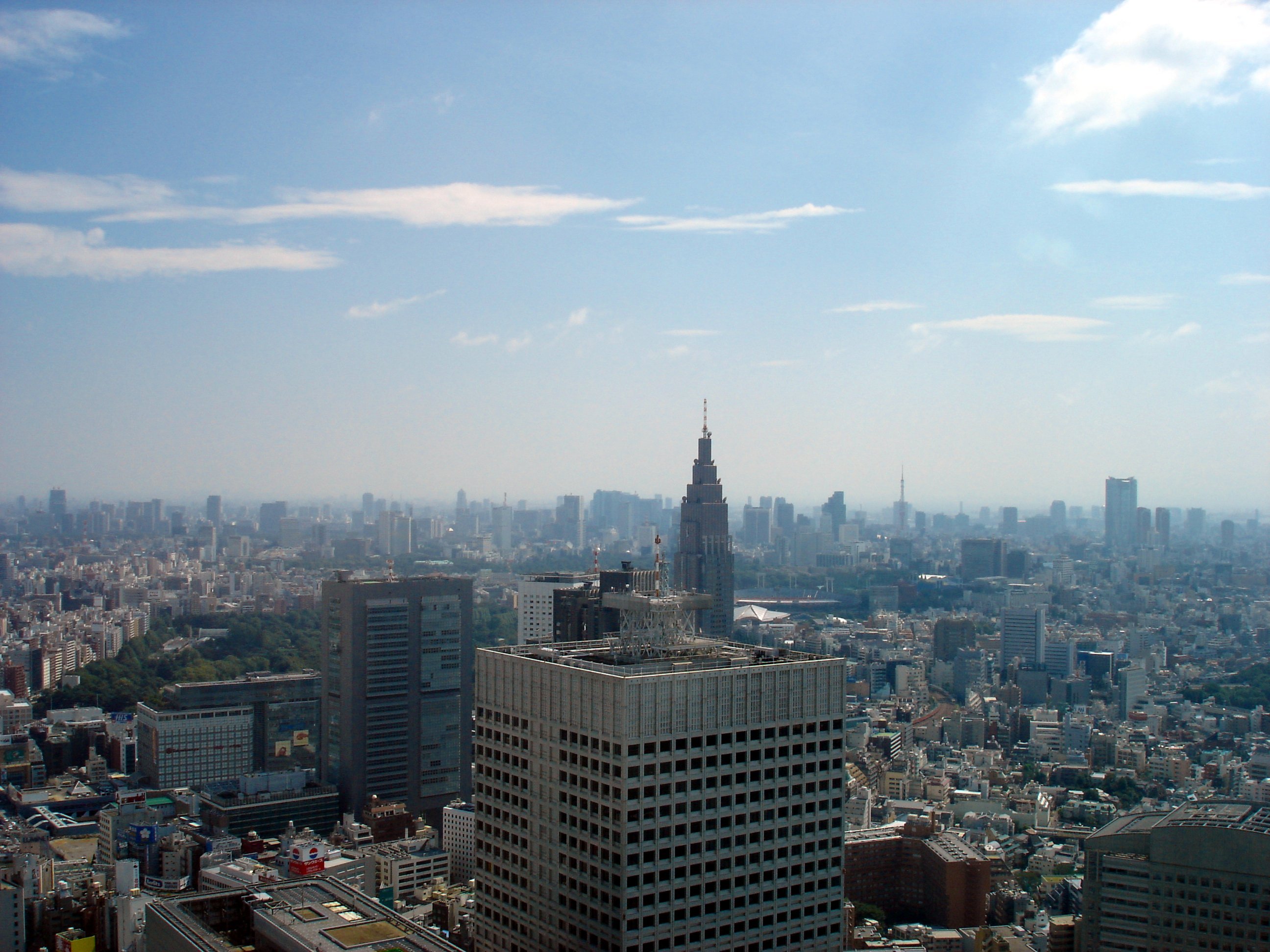 View over Tokyo