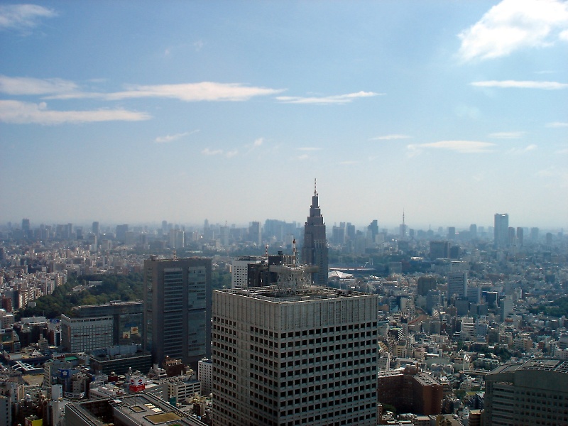 View over Tokyo