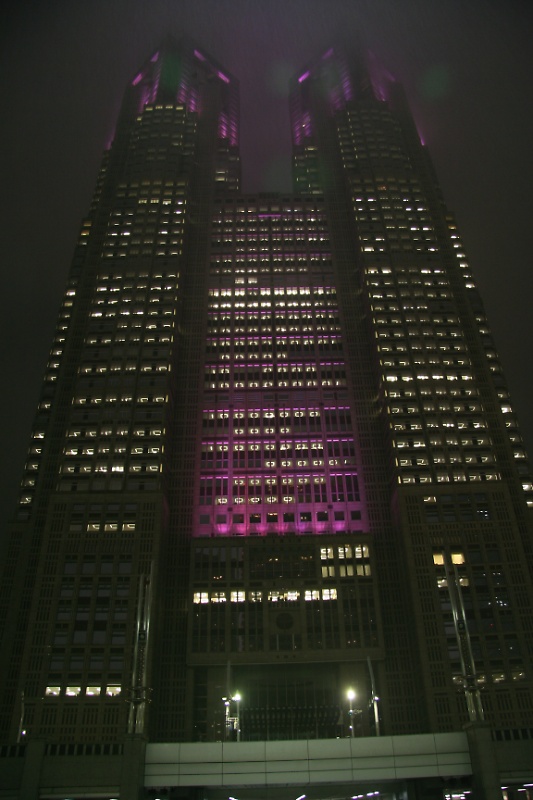 Tokyo metropolitan government building